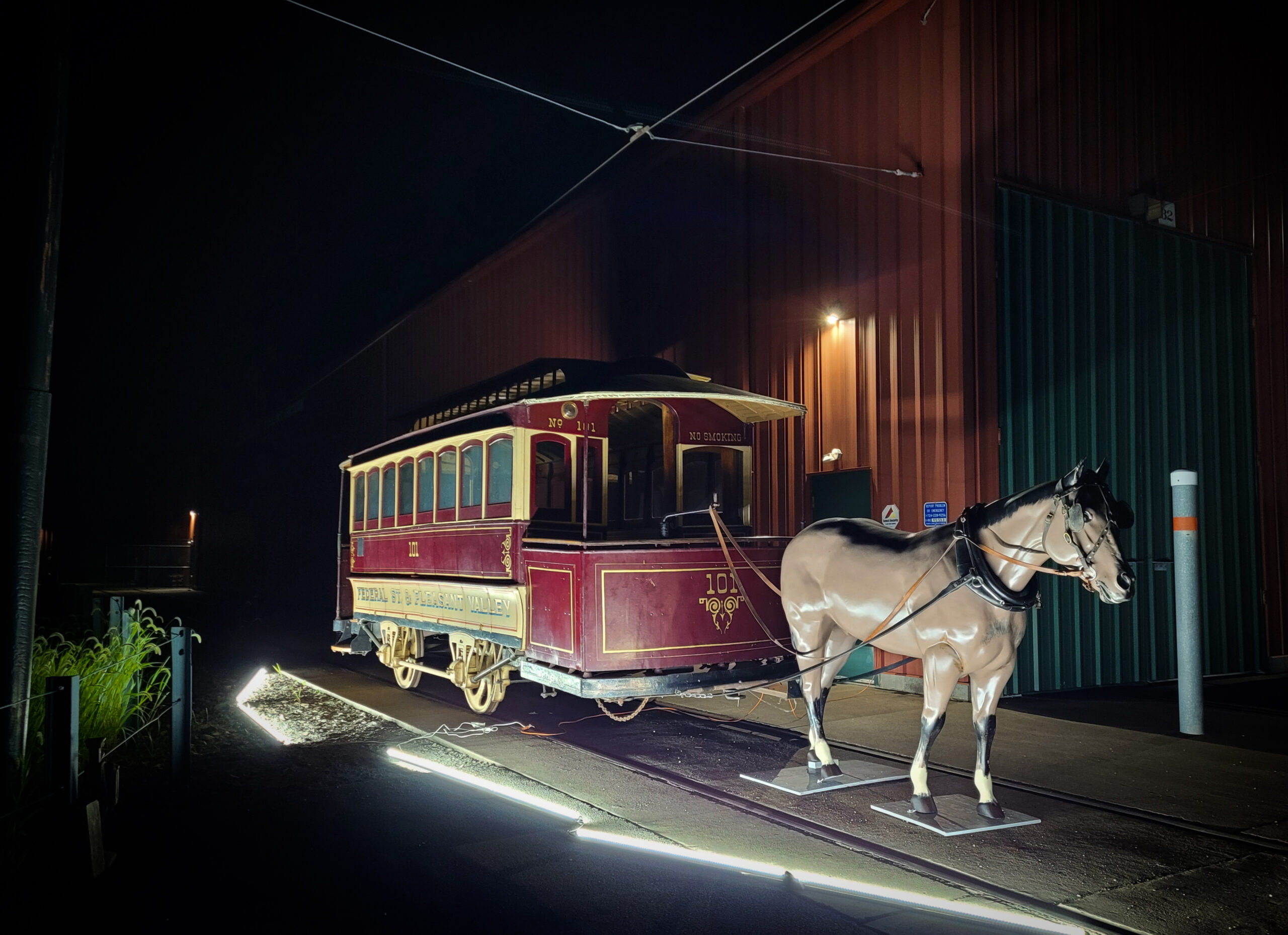 The Horse Spotlighted At Night