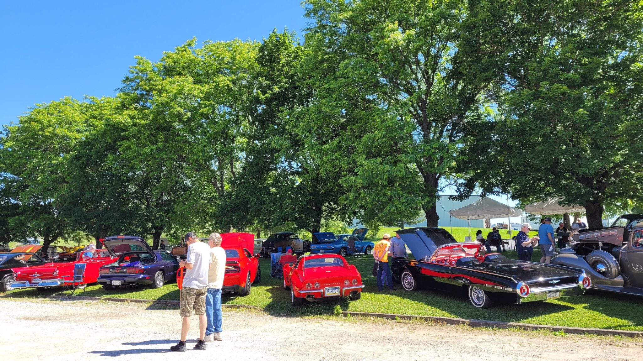 Classic and vintage cars lined up in the grass on the front lawn of the museum