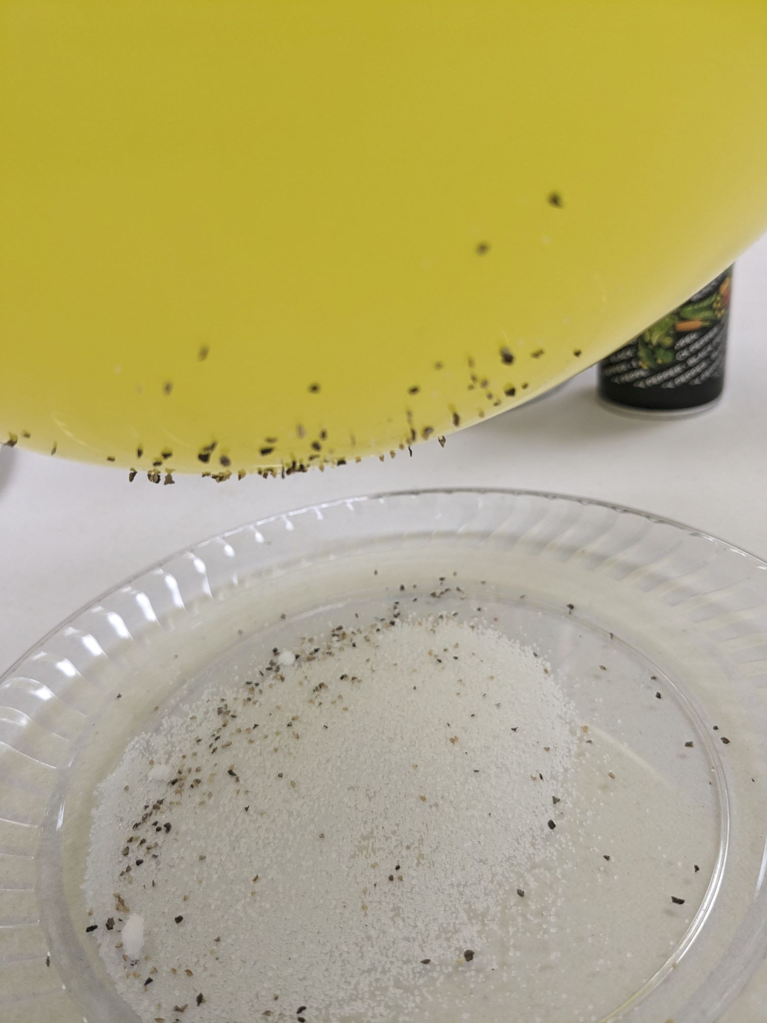 STEAM At Home Activity Static Electricity Power! PA Trolley Museum